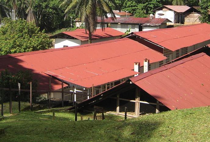 Schweitzer compound in Africa showing low building with red roofs