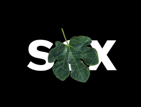 Illustration of a fig leaf covering the word "sex"