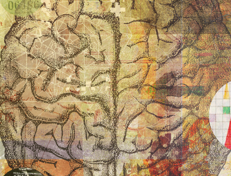Illustration of brain