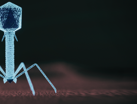 illustration of a phage
