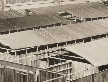 Boston's Commonweath Armory during the 1918 flu pandemic