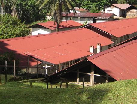 Schweitzer compound in Africa showing low building with red roofs