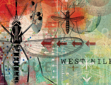 illustration of insects, disease names associated with disease spread and climate change