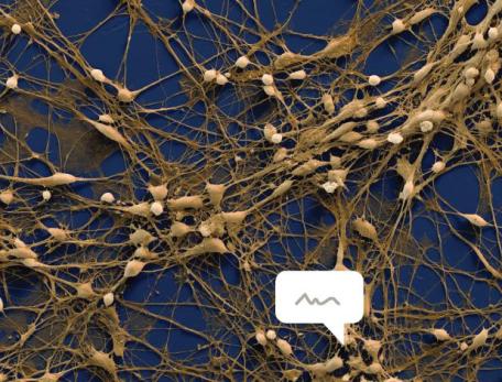 dialogue bubbles on top of a zoomed in view of a neural network