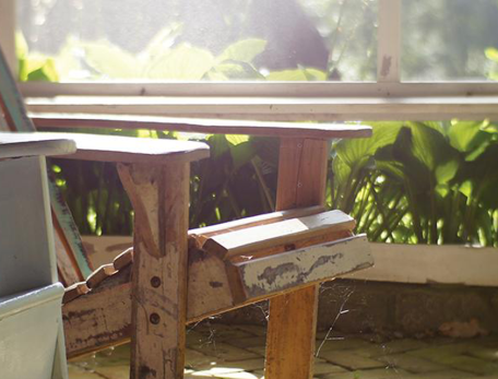 Adirondac chair in sunshine