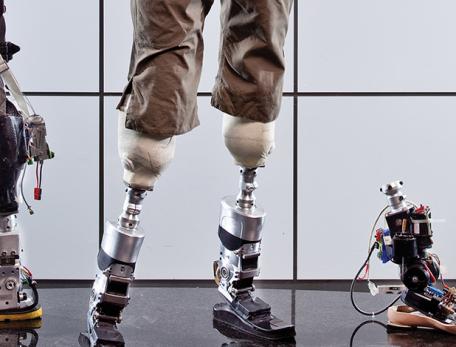a lineup of robotic looking prosthetic limbs