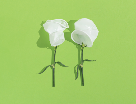two plant stems with crushed white plastic cups as blossoms