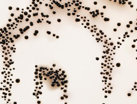 Image of bacterial dots forming a house image in a petri dish