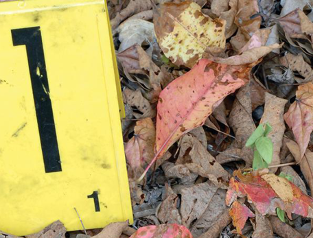 yellow evidence marker on the ground with dead leaves