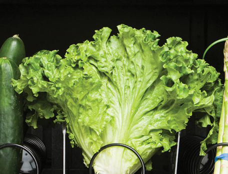 a close up of green vegetables in a vending machine