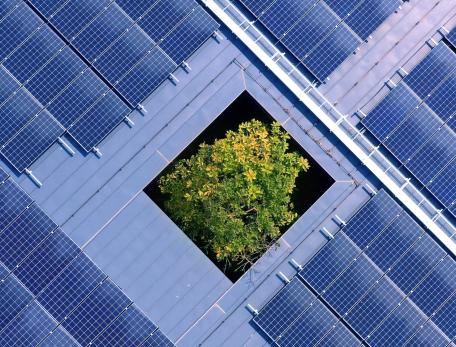 Solar panels on top of a building with a tree emerging from the building's courtyard