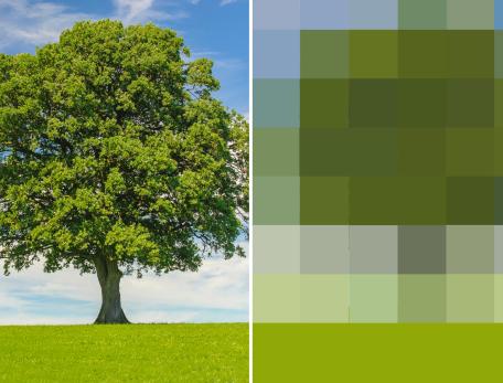 Two images of the same tree shown side by side. One is highly pixellated.