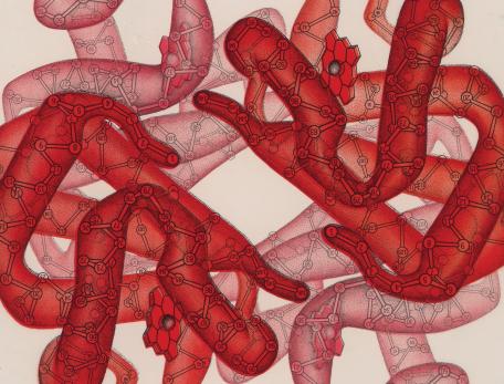 a tangled mass of red and pink tubes illustrating oxyhemoblobin