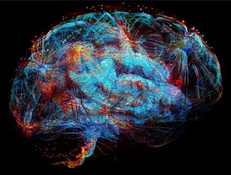 An artistic depiction of the brain
