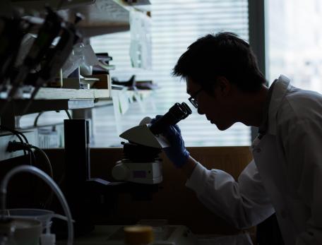 A researcher peers into a microscope in a lab. 