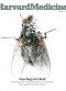 Summer 2013 - How Bugs Are Built Issue
