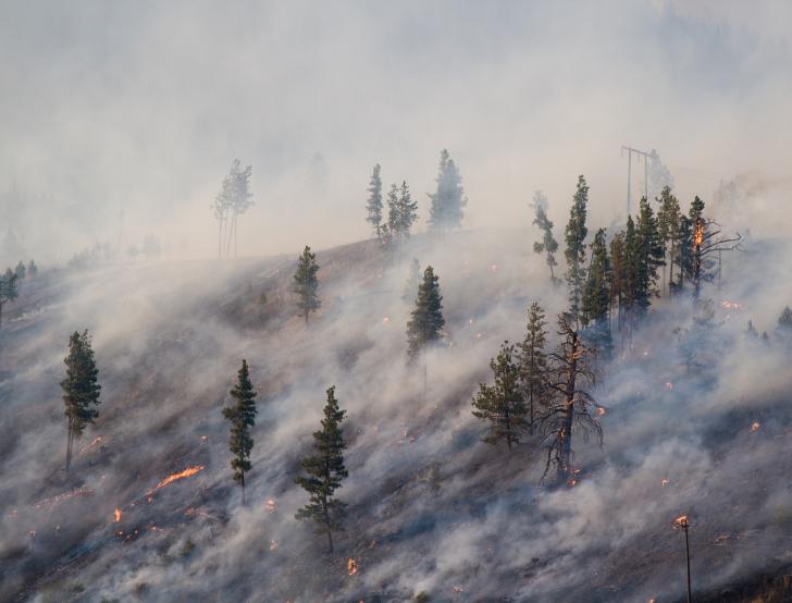 A forest fire casts a smoky haze over a hillside.