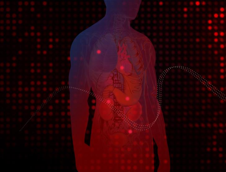 An illustrated outline of the human body with different organs lighting up with red dots.