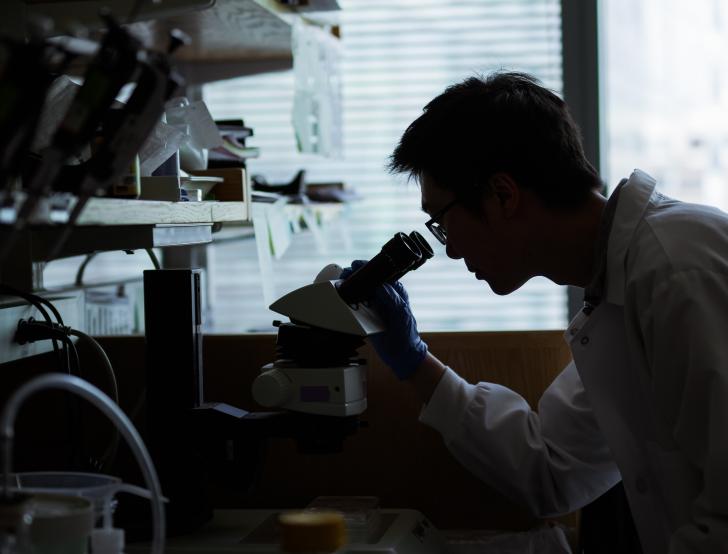 A researcher peers into a microscope in a lab. 