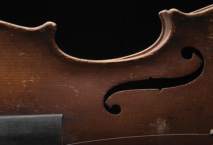 partial view of a violin on its side