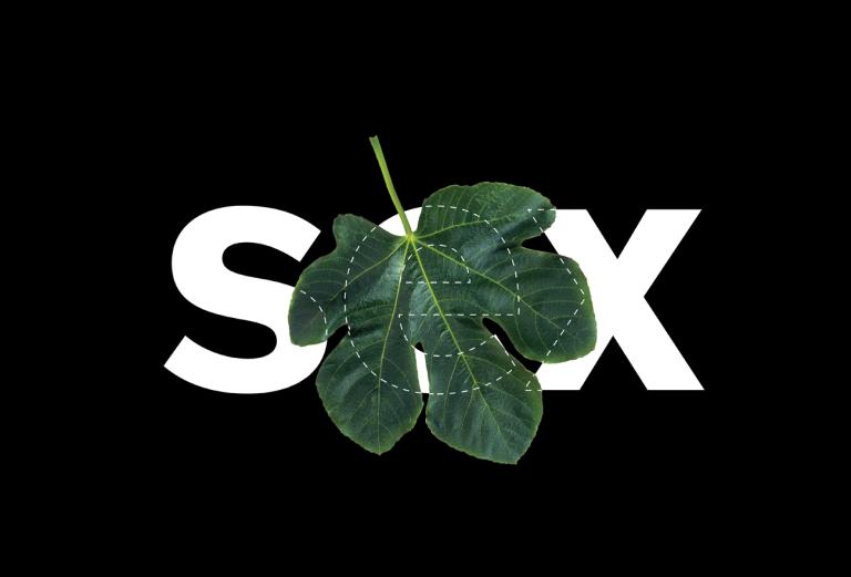 Illustration of a fig leaf covering the word "sex"