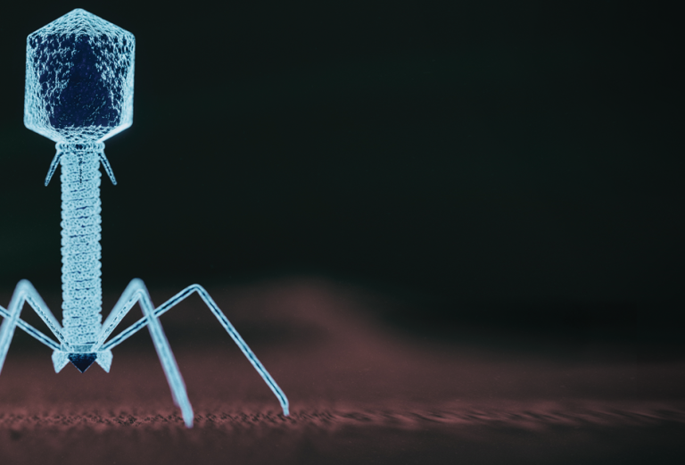 illustration of a phage