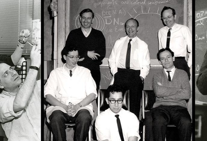 The six founders of neurobiology at HMS (center image: clockwise from left, standing): Edwin Furshpan, Stephen Kuffler, David Hubel, Torsten Wiesel, Edward Kravitz, and David Potter