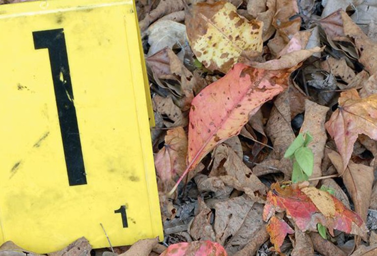 yellow evidence marker on the ground with dead leaves