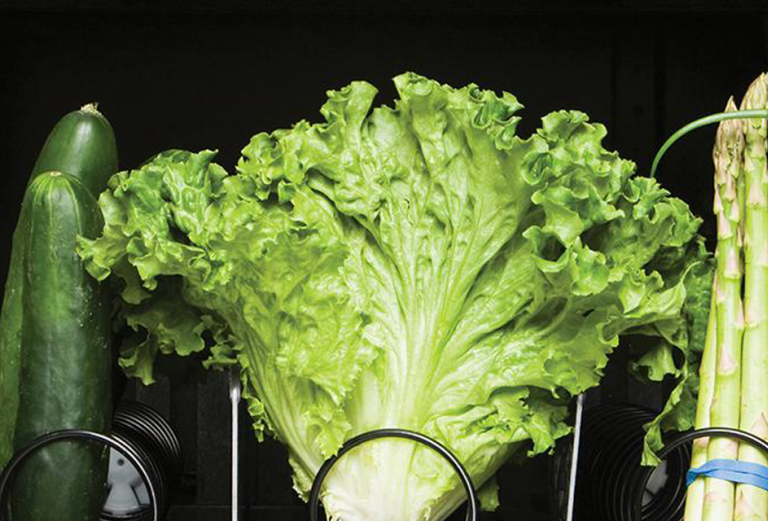 a close up of green vegetables in a vending machine