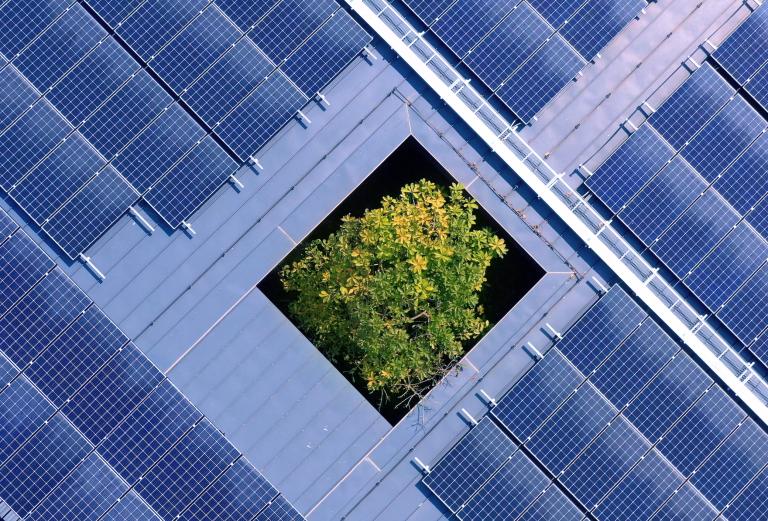 Solar panels on top of a building with a tree emerging from the building's courtyard