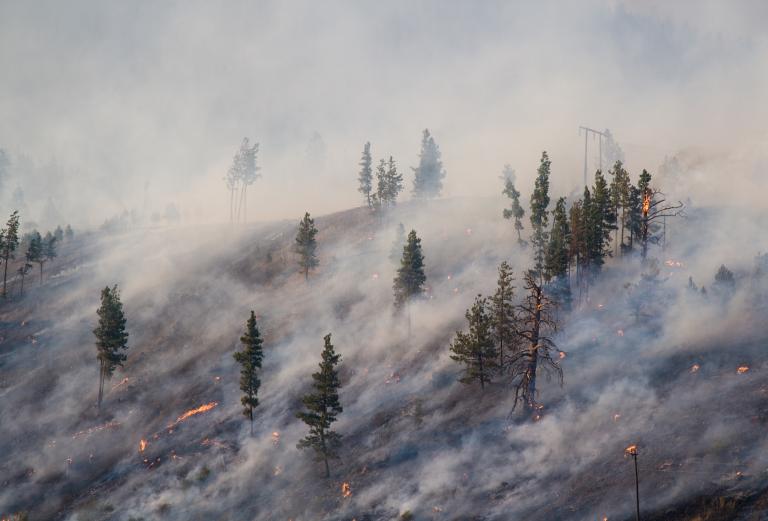 A forest fire casts a smoky haze over a hillside.