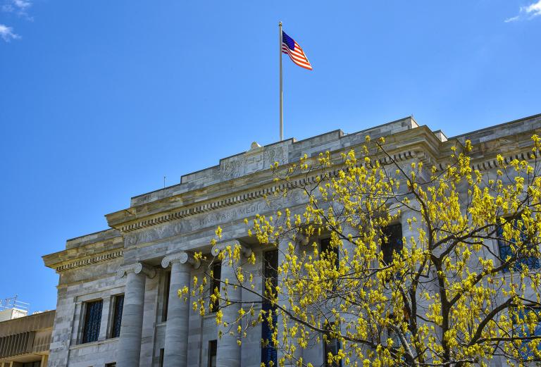 The American Flag flies over Harvard Medical School’s Gordon Hall, with new spring oak leaves on a tree in the foreground.