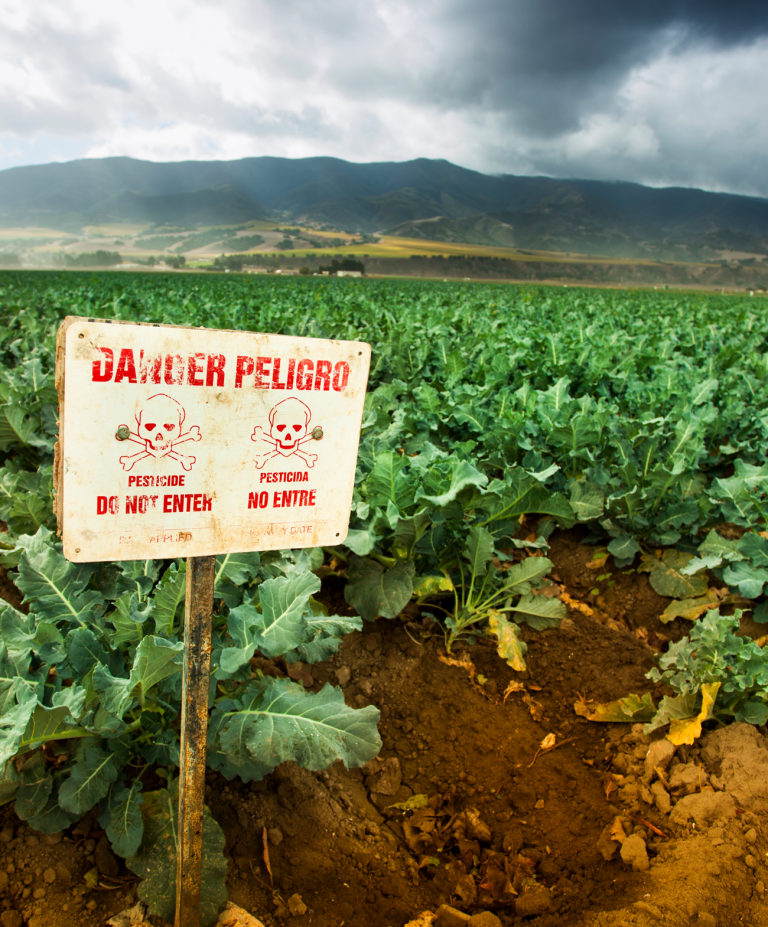farm field with caution sign indicating pesticide use