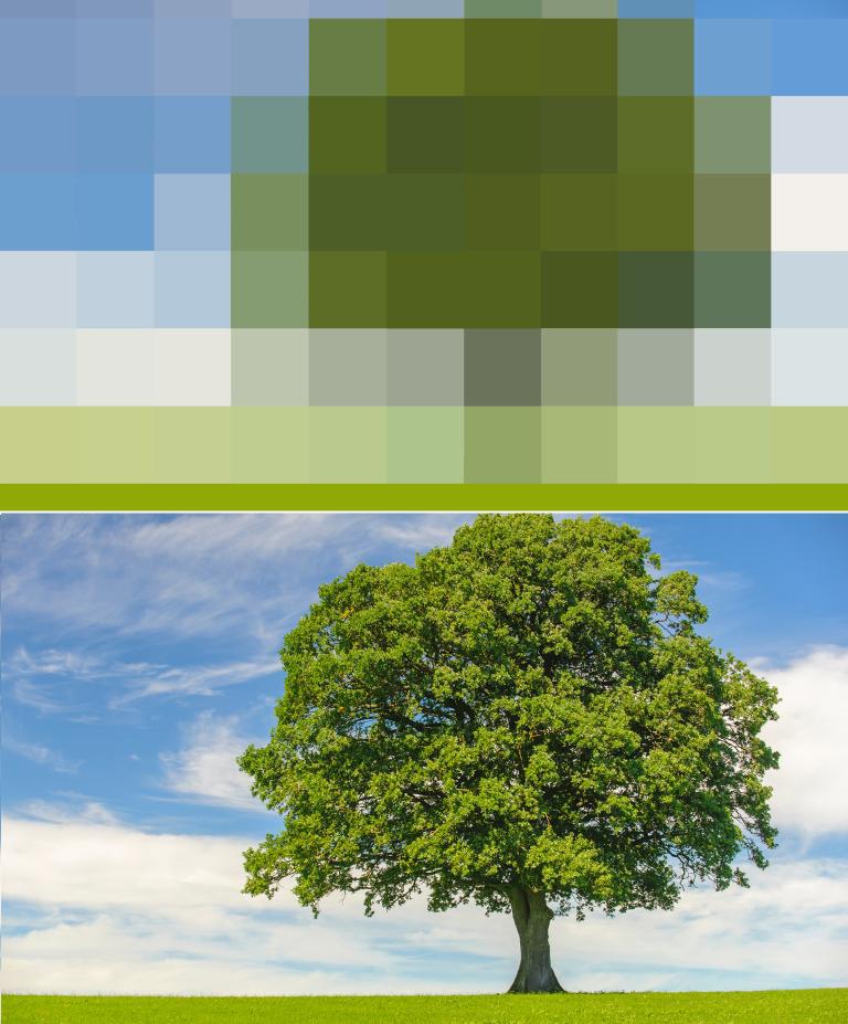Two identical images of a tree are stacked; the top one is highly pixellated
