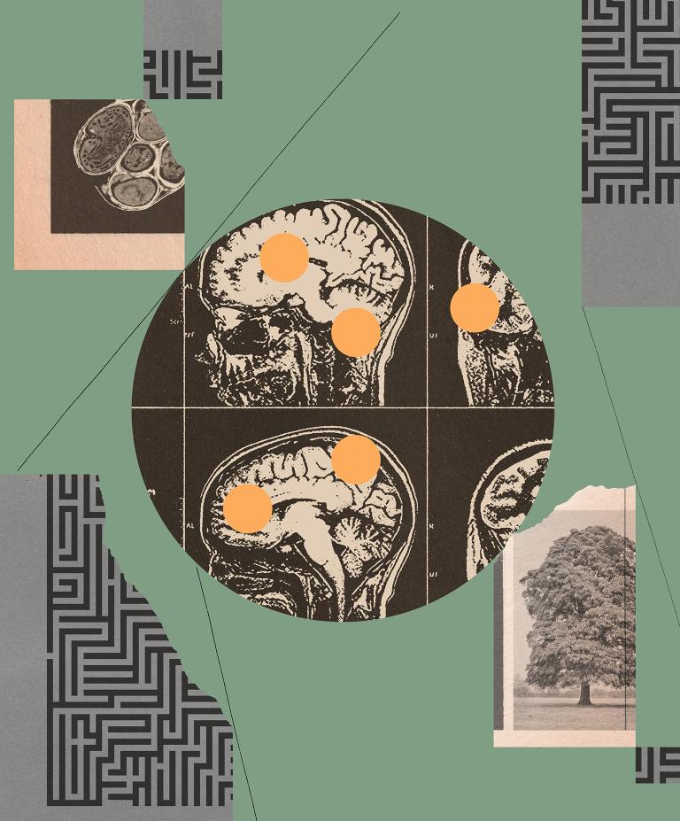 A collage of images illustrating the concept of navigating cancer care