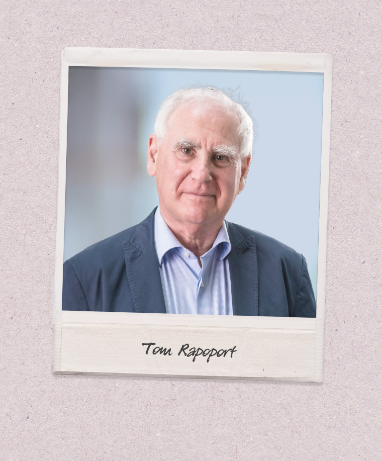 A headshot of Tom Rapoport appears on a polaroid-style photo against a beige background.