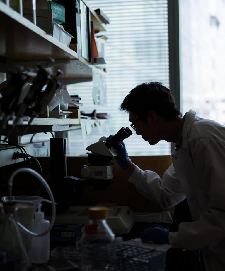 A researcher peers into a microscope in a lab. 