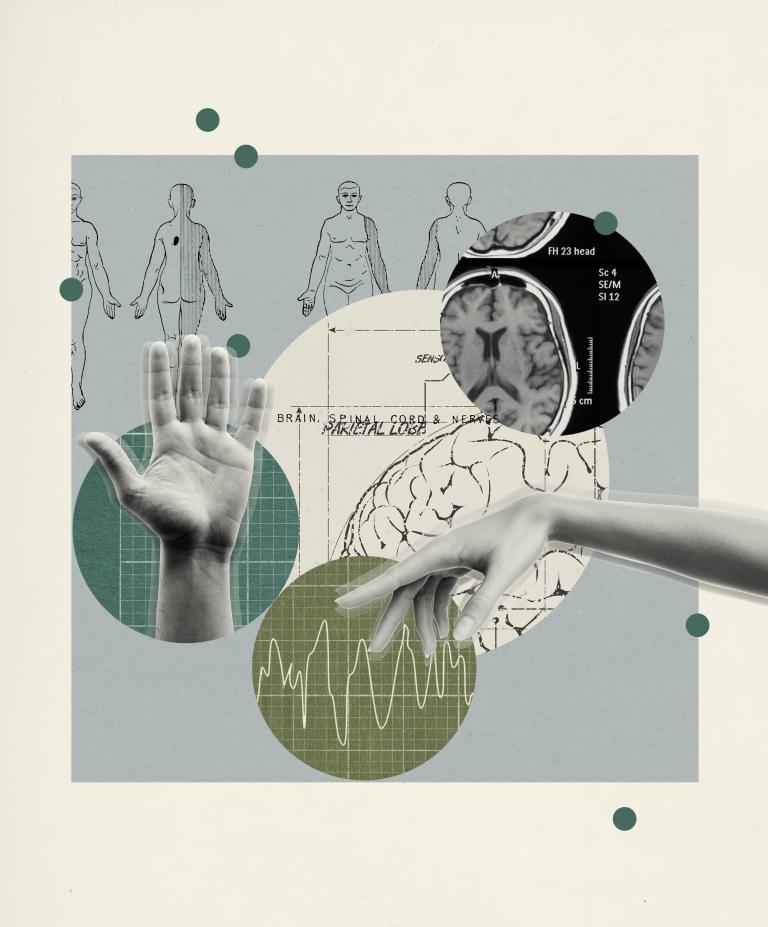 Collage of medical themes; anatomical drawings, a hand and fingers, brain scan, and brain diagrams. Tone is clinical, analytical, with green and gray hues.