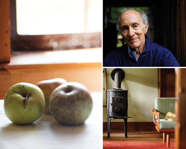 Three image collage with apples, wood burning stove and man.
