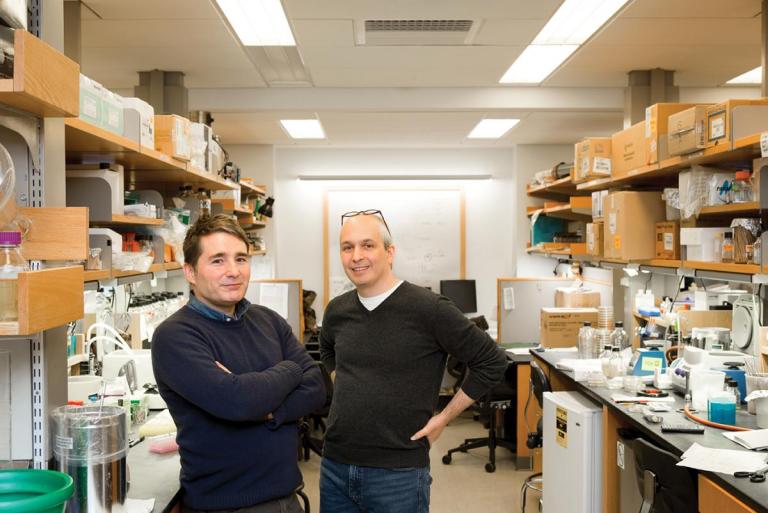 Thomas Bernhardt and David Rudner standing in a laboratory