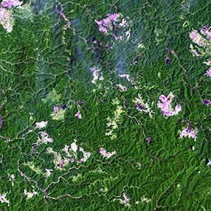 Satellite image of surface mining sites in West Virginia