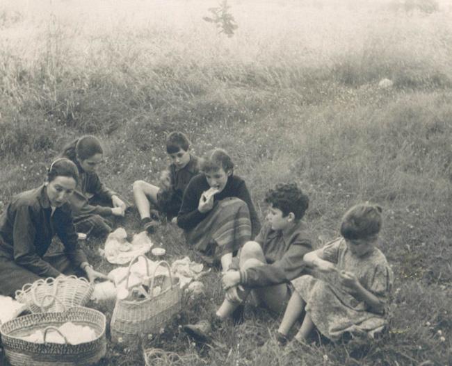 A family taking a picnic lunch