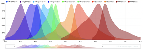 graph of adsorption and emission spectra of fluorescent proteins