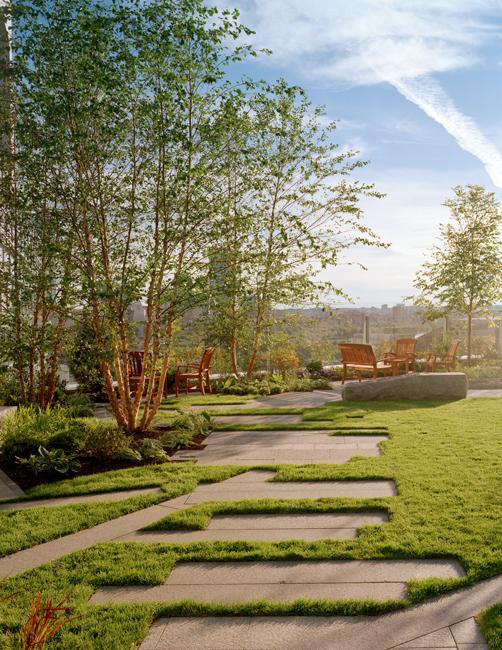 sunny green garden looking out from the hospital roof