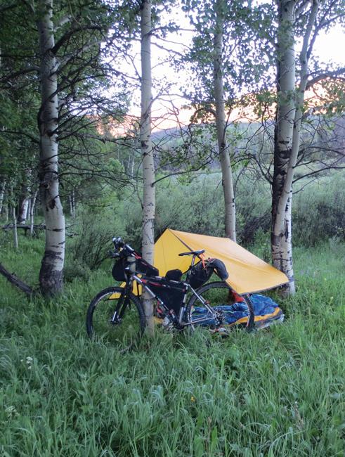 a bike against a tree in the woods next to a tent
