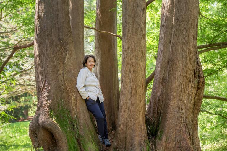 Susan Abookire stands among the branches of a large pine tree