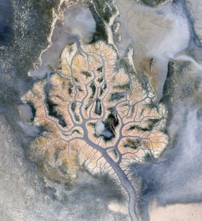 A birds'-eye view of a river delta in Turkey shows a fractal-like pattern of streams against the sand