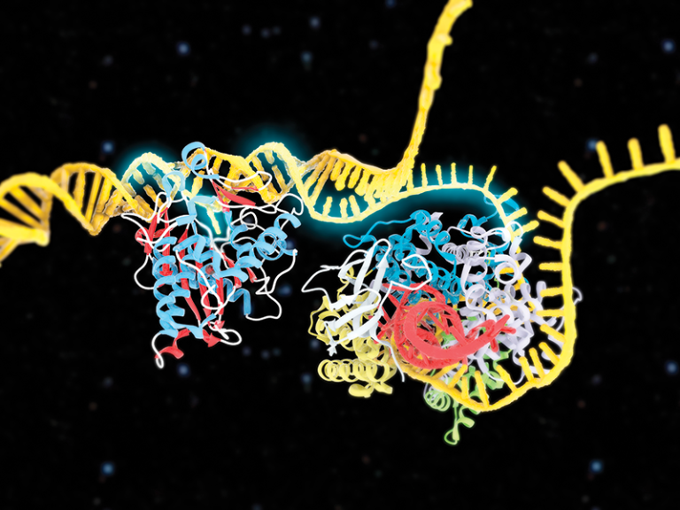 A colorful depiction of a CRISPR-Cas9 base editor being used to cut DNA.