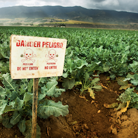 A sign on the edge of an agricultural field says danger/pelligro indicating the presence of pesticides