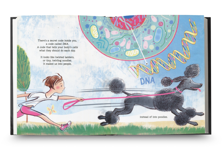 Playful illustration from the spead of a book, of a child being pulled by a poodle on a leash. Above, a colorful DNA strand and cells. The text describes DNA as a secret code.